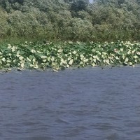 Фото путешественника — 4