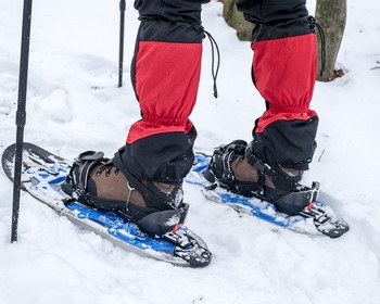 Музей «В начале было слово», поход к часовням на лыжах