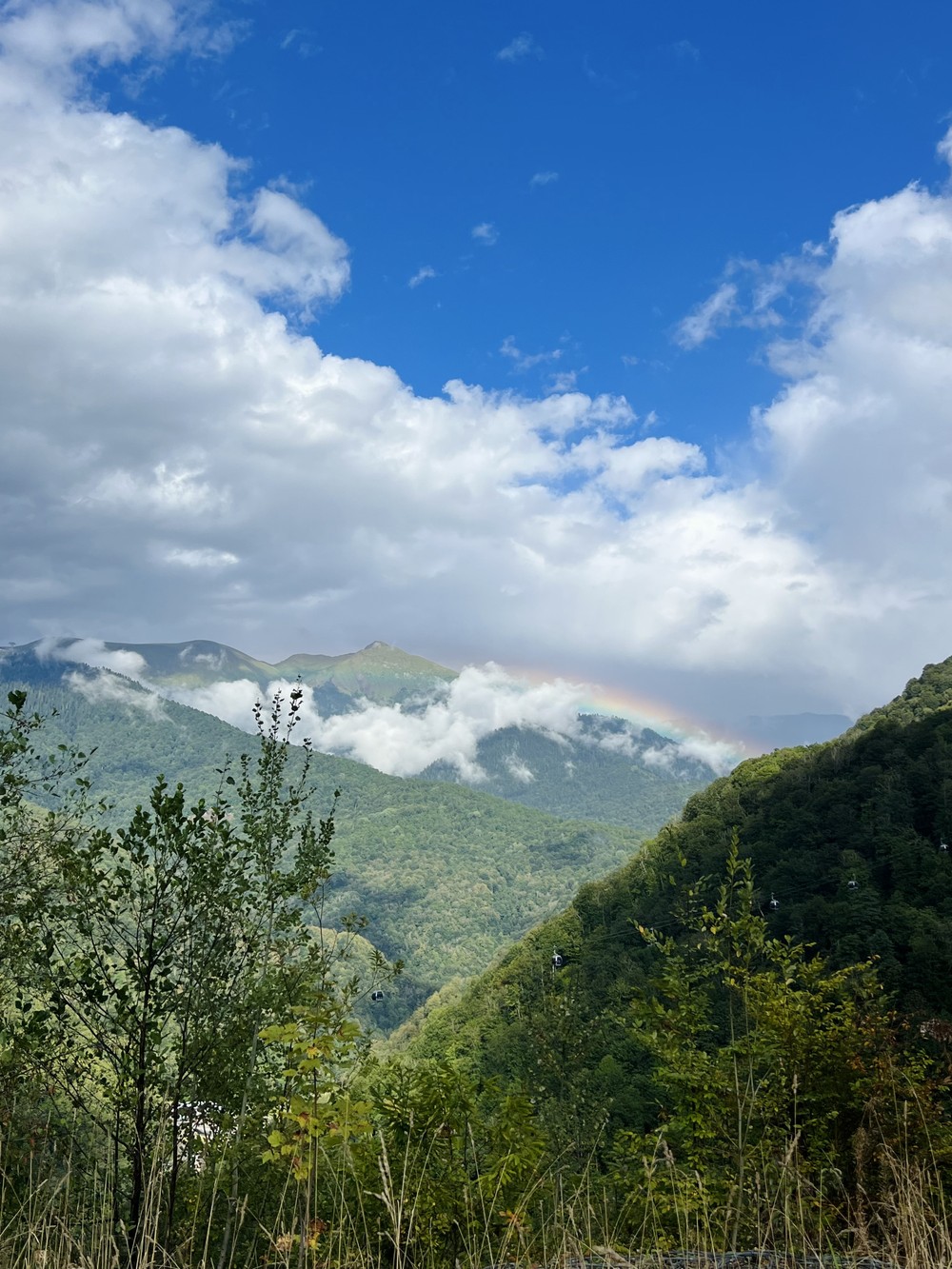 Красная Поляна all inclusive: подъём в горы на авто + дегустации (8/9)