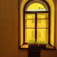 Фото отзыва 1: экскурсия "Санкт-Петербург: инструкция по применению"