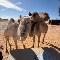 Фото отзыва 2: экскурсия "Фотопрогулка по топовым местам Шарм-эль-Шейха + секретная локация"