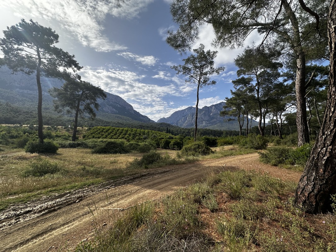 Прикольный опыт вождения квадроцикла