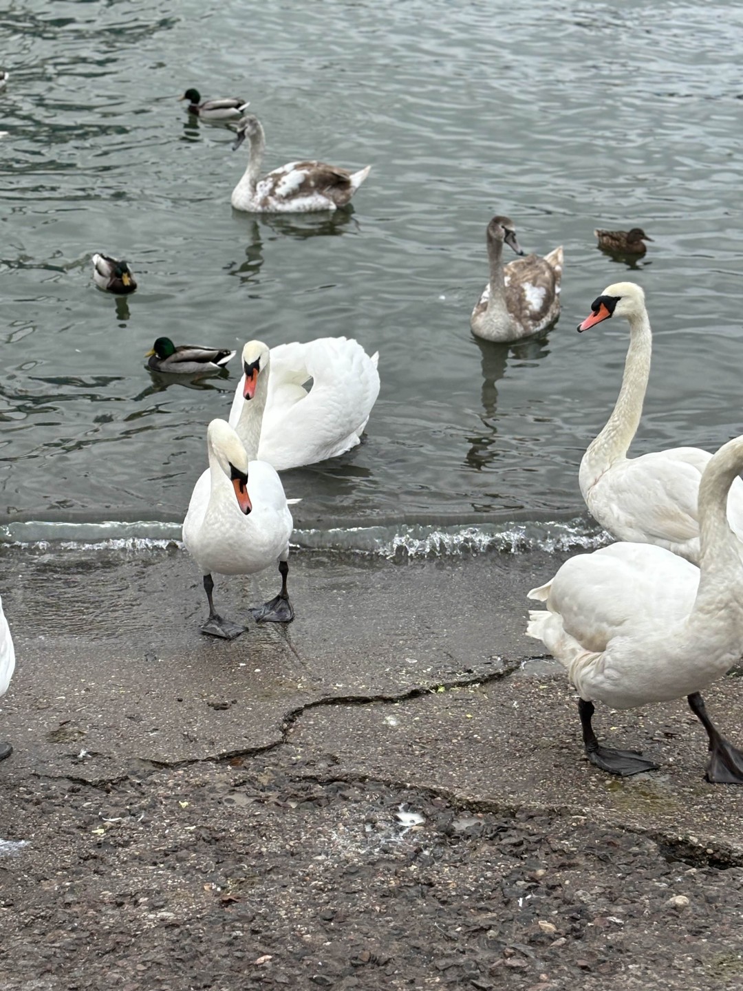 Янтарный, Светлогорск и Филинская бухта - с гидом-писателем (Олег)