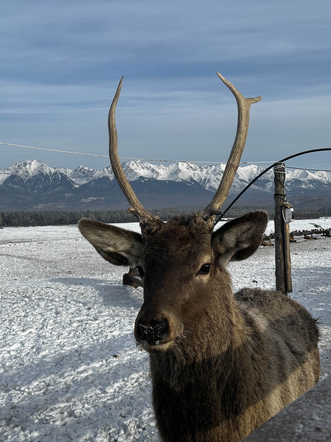 Отличная экскурсия! Спасибо большое нашему гиду Оксане, очень интересно рассказывала, комфортное и аккуратное вождение! Нам очень