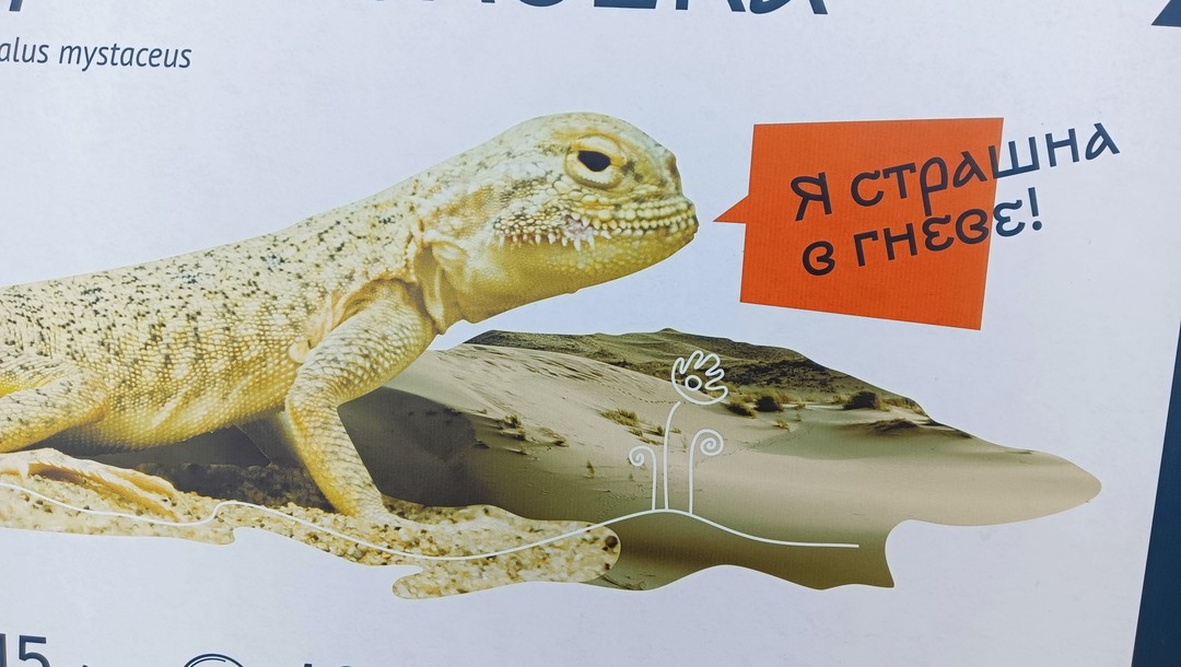 Замечательная возможность за один день увидеть основные красивейшие места Дагестана. Спасибо Магомеду(нашему виртуальному водителю) и Халиму(нашемудушевному
