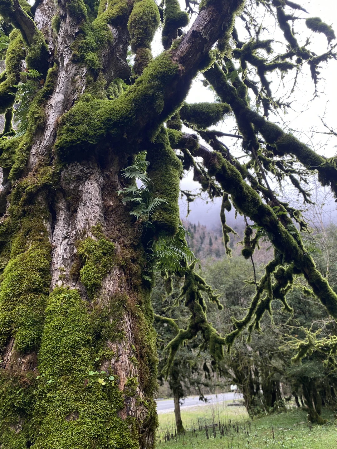 Отличная, нетривиальная подача материала! Программа была отлично адаптирована к времени года, погоде и обстановке на месте!