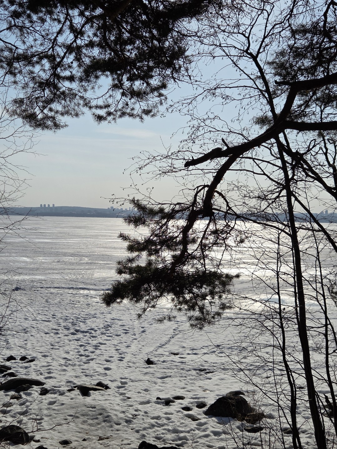 Были в Петрозаводске проездом, решили взять полноценную историческую экскурсию, так как давно хотели побывать в городе