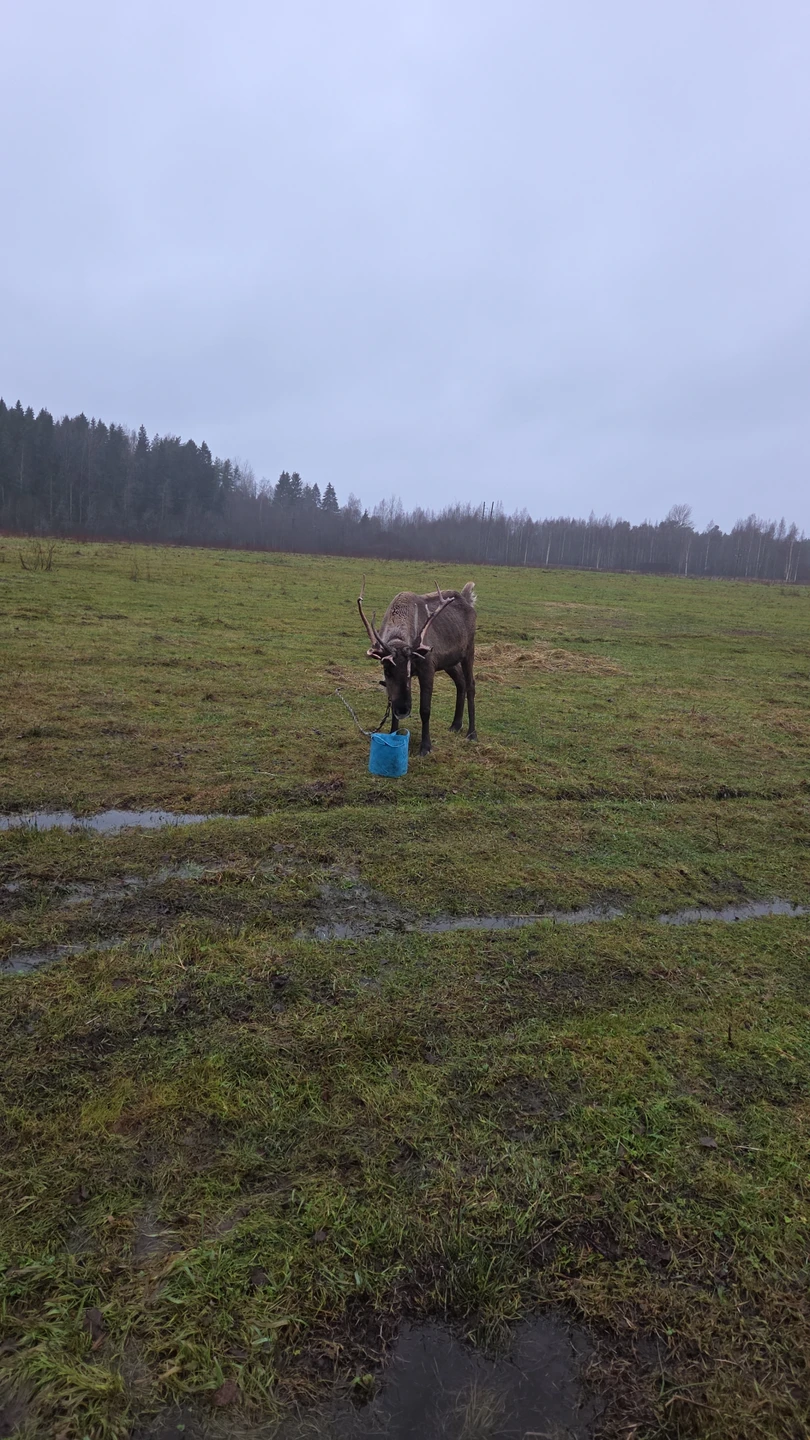 Спасибо огромное за чудесный день, проведённый в вашем парке! Рекомендуем всем, кто живёт в городе. Девочки