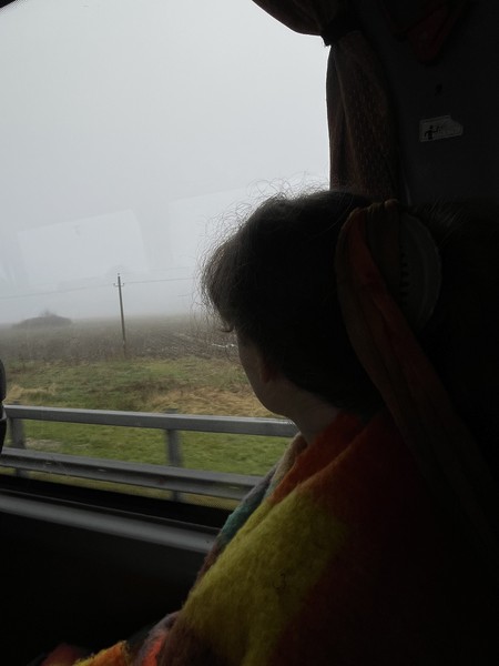 К курортам Светлогорск и Янтарный (с посещением янтарного производства) (Марина)