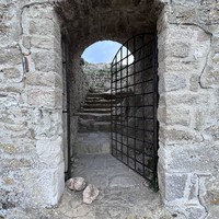 reviews img