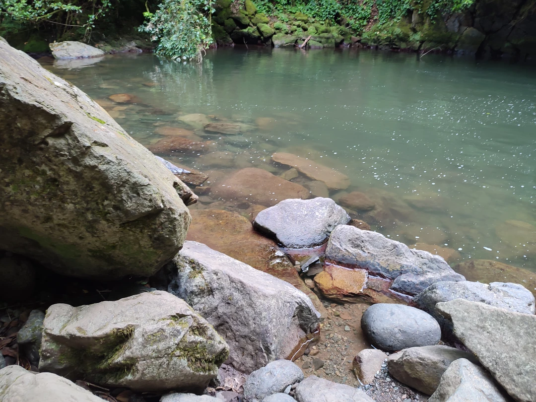 Благодаря Федору мы с дочерью провели замечательный день в Грузии. Каждое место, которое мы посетили, особенное