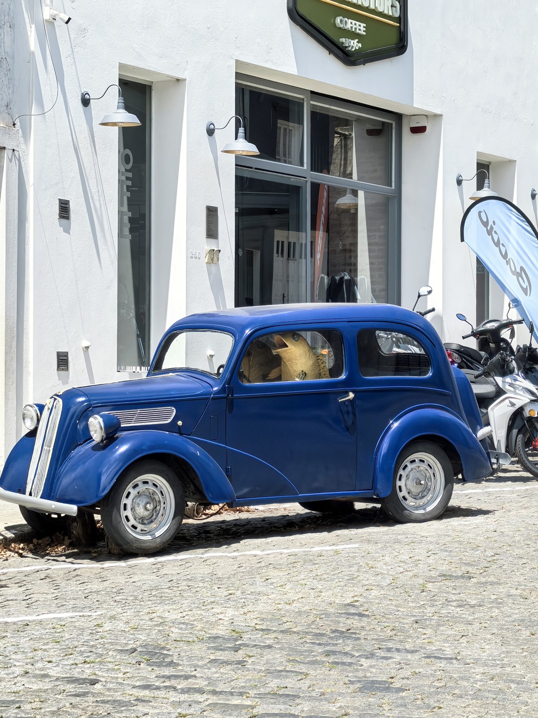 Экскурсия прошла отлично, мы посмотрели все знаковые места в Колонии, узнали Уругвай, даже успели проехать на