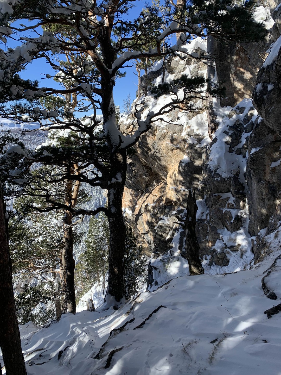 Поездка с гидом Батыром в предгорье Кавказа Лаго Наки останется в наших сердцах. Даже в зимний