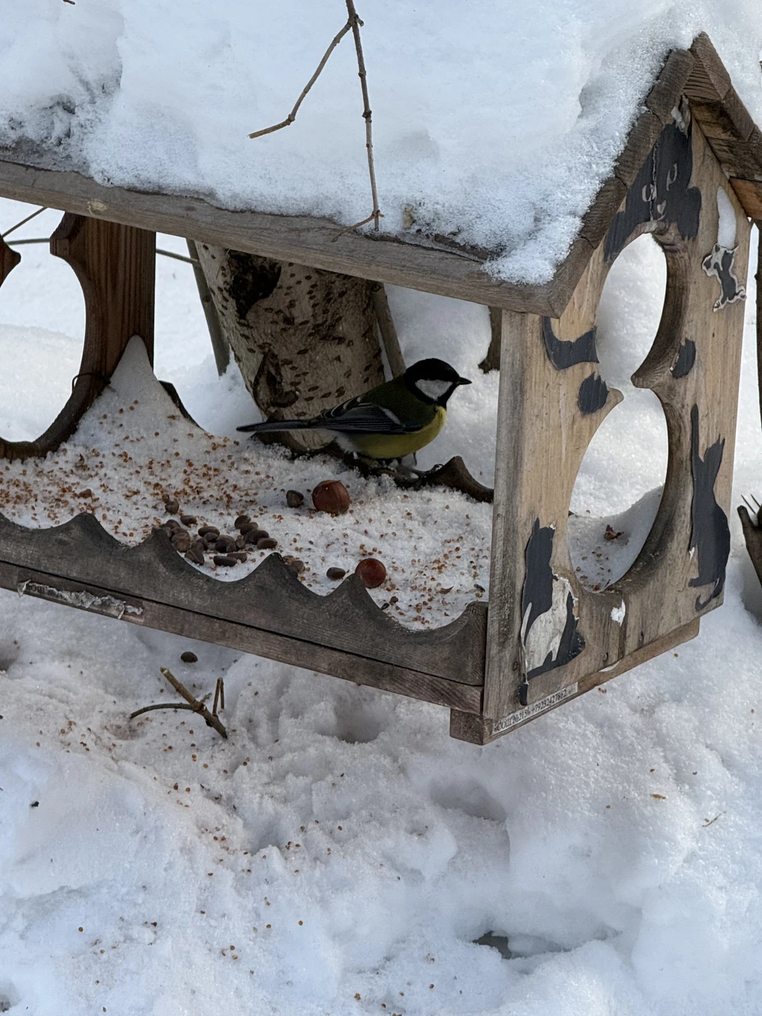 Волею судьбы, погоды и несостыковки самолетов мы оказались в Новосибирске и ничуть об этом не пожалели