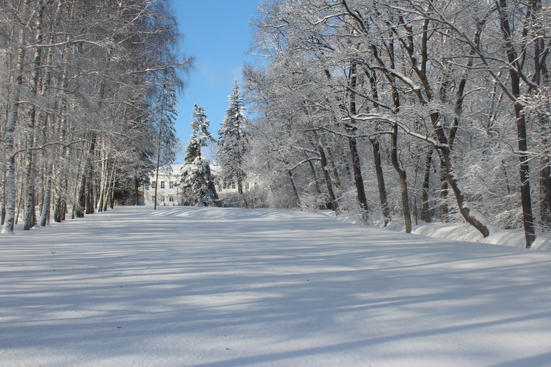 «Русский роман»: экскурсионно-гастрономическая экскурсия по местам Л.Н. Толстого (на вашем авто)