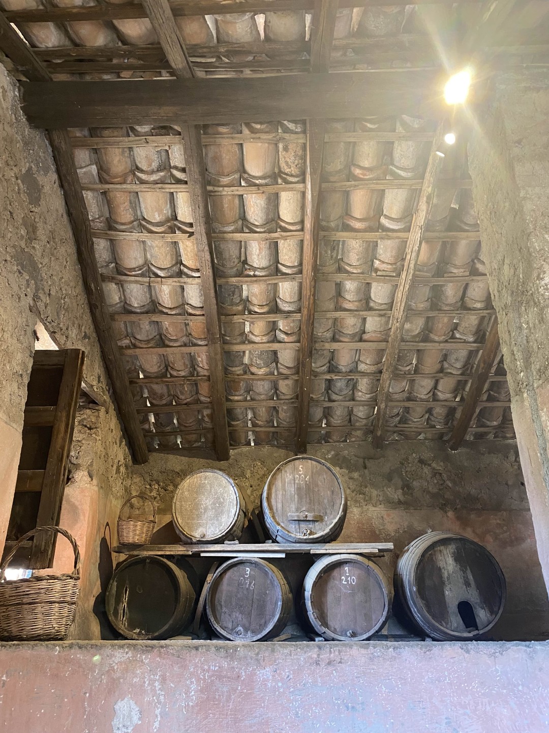 Благодарим Янину за прекрасную экскурсию на один из виноградников солнечной Сицилии!