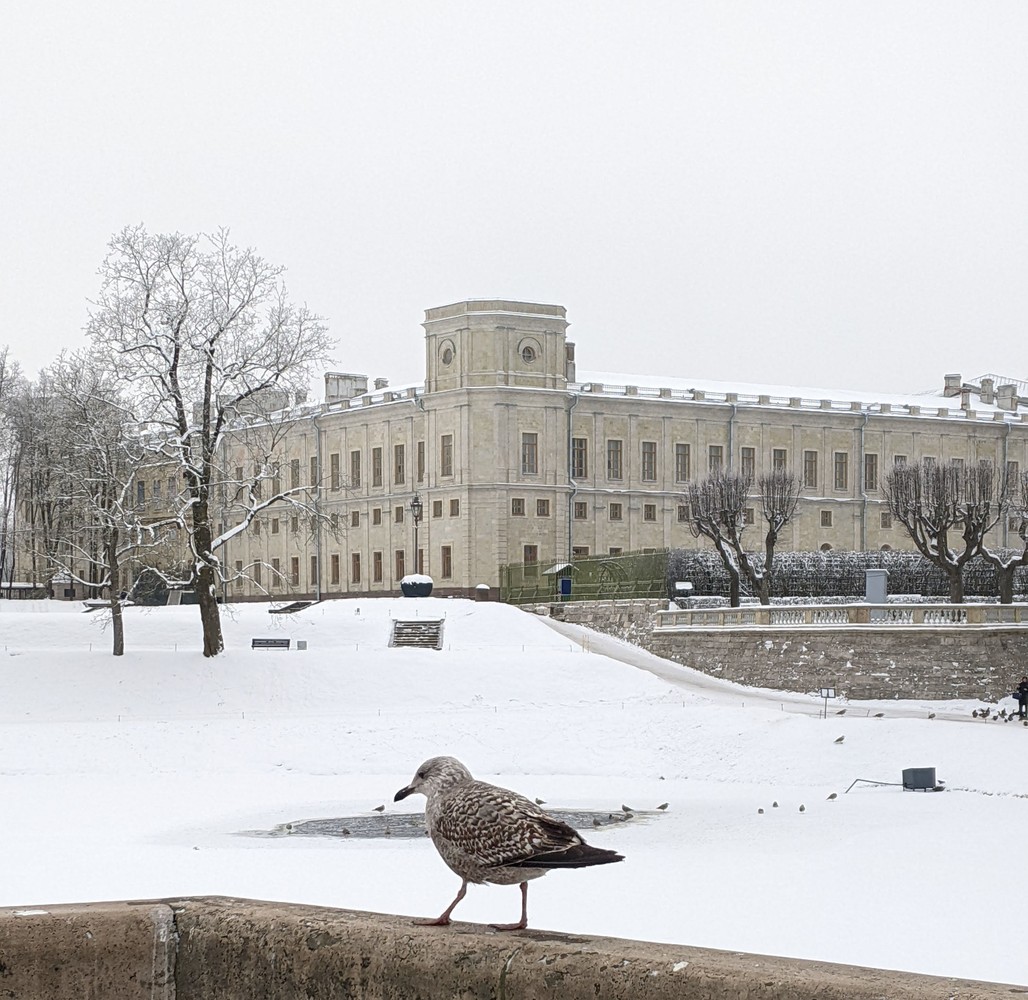 Последний рыцарь Европы: Гатчина Павла I (14/15)