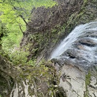 Фото отзыва 2: экскурсия "Водопады, реки и источники — тур на внедорожнике по окрестностям Сочи"