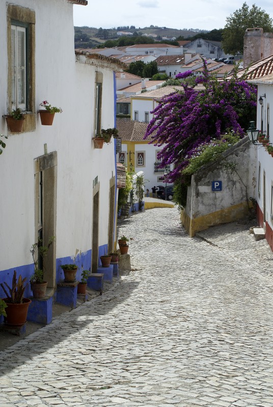 Волшебный Обидуш