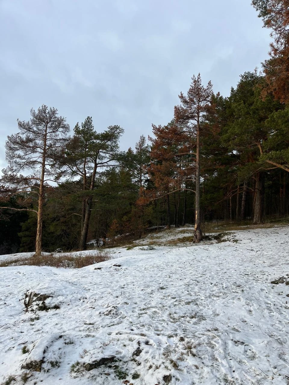 Спасибо огромное Дарье за экскурсию, было очень интересно и вкусно) все остались довольны!