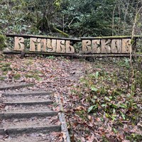 Фото отзыва 3: экскурсия "Живописные окрестности Сочи"