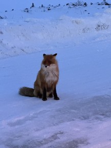Фото отзыва 3: экскурсия "Териберка: дыхание Ледовитого океана"