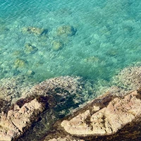 Фото отзыва 1: экскурсия "На остров Путятина, к сивучам и ларгам — из Владивостока"