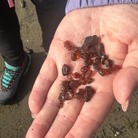 Фото отзыва 2: экскурсия "По Южному кольцу Сахалина: Охотское и Японское моря, бухта Тихая и руины японских храмов"