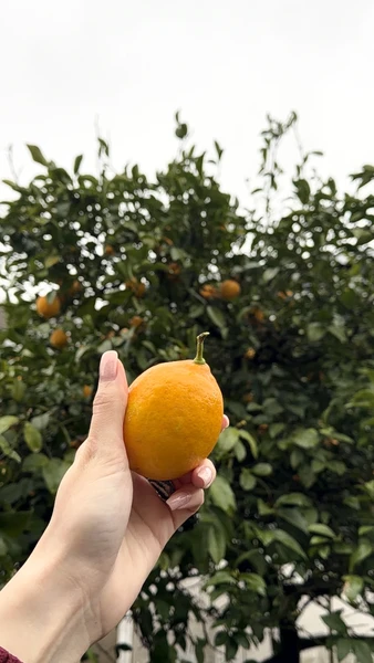 Абхазия прекрасна и еще прекраснее ее делают люди! Самое лучшее решение, отправится на экскурсию с местным