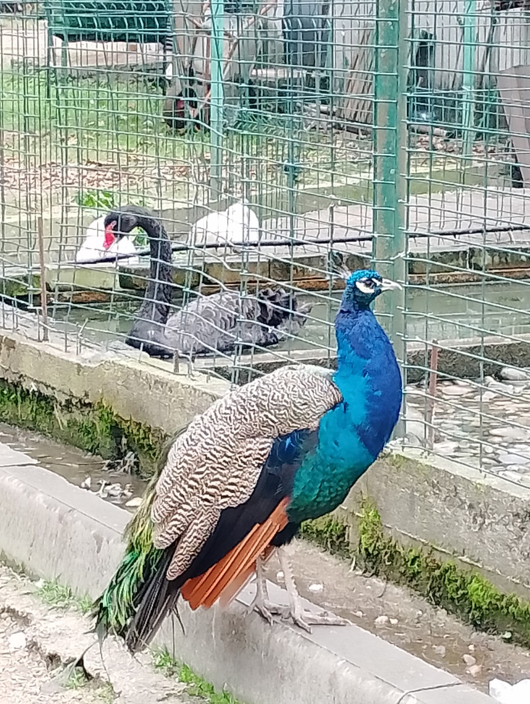 Маршрут тура интересный. Благодарим за организацию частично) Но на каждый маршрут по программе отведено очень мало