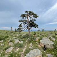 Фото отзыва 1: экскурсия "Иволгинский дацан: must-see в Улан-Удэ"