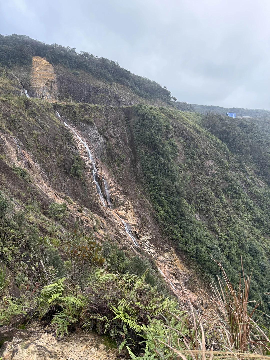 Из Нячанга - в Далат, самый европейский город Юго-Восточной Азии (Ольга)