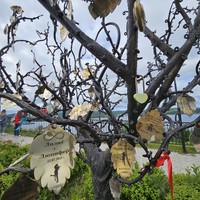 Фото отзыва 3: экскурсия "Самый яркий город под северным сиянием: экскурсия по Мурманску"