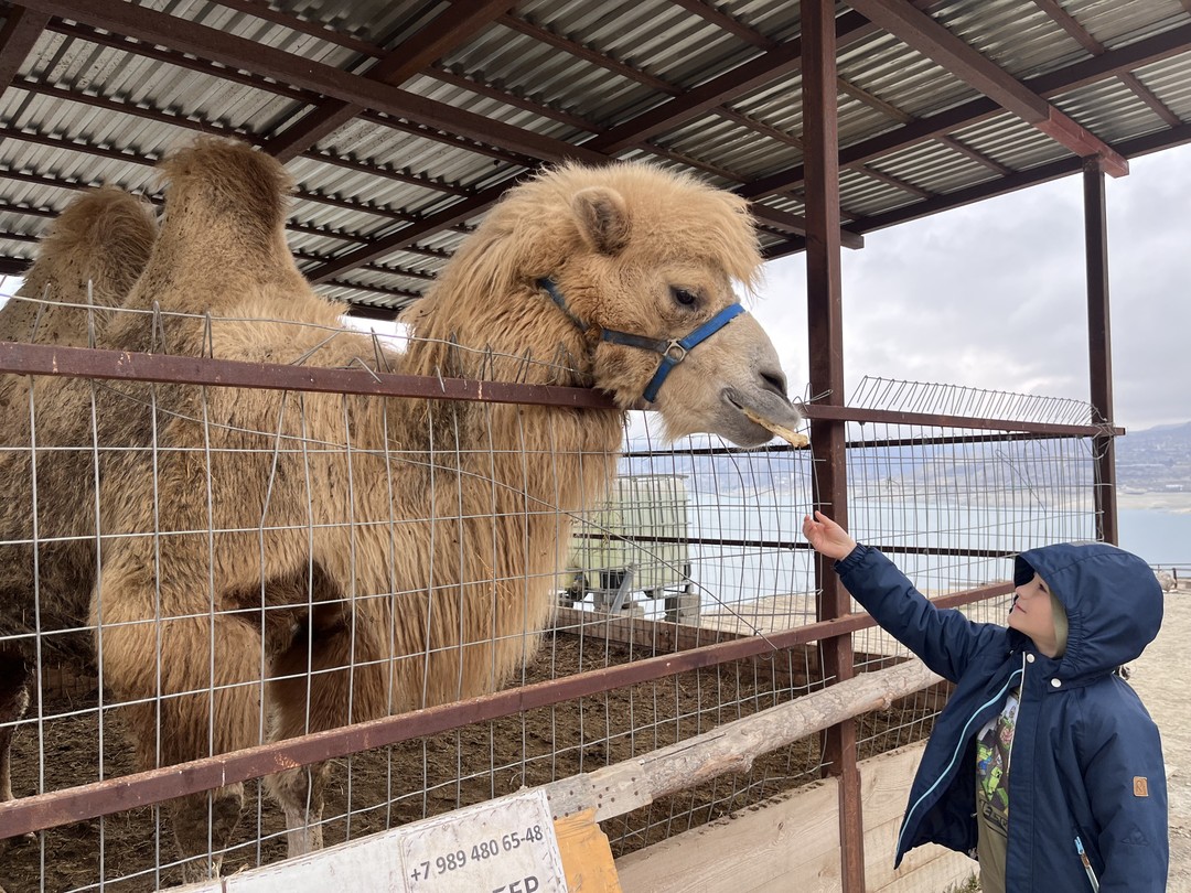 Пишу отзыв не как турист, а как местный житель, которому захотелось провести один день в горах