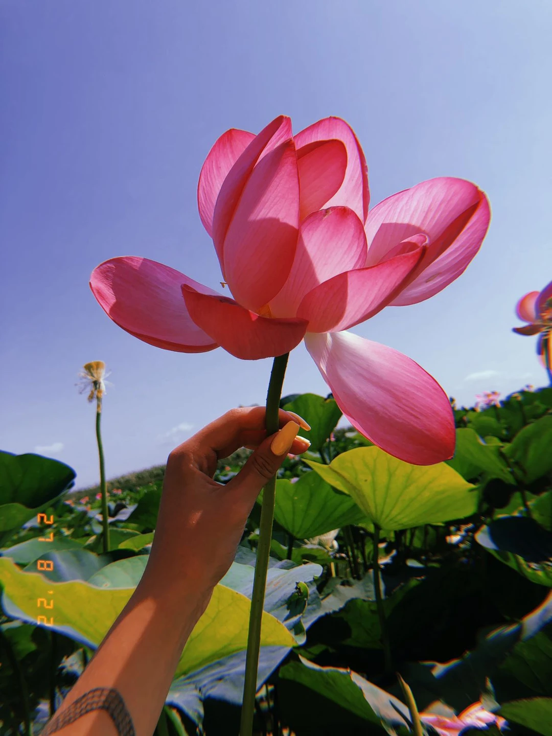 Любая экскурсия зависит от организатора. Нам с этим очень повезло! Сергей интересный рассказчик и собеседник,отвечал на