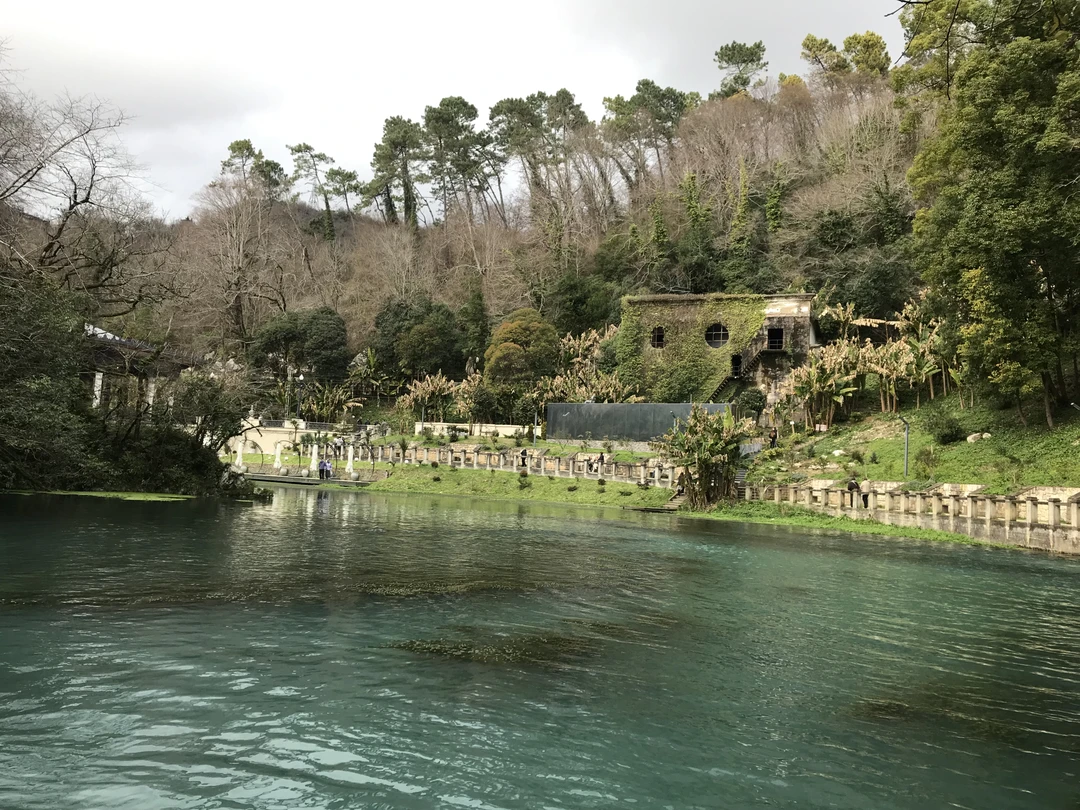 Экскурсия непростая, длительная, но невероятно интересная, даже для тех, кто в Абхазии уже был. Программа составлена