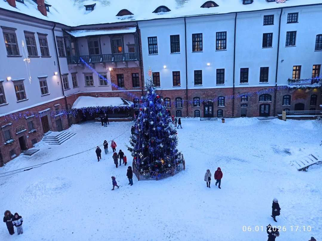 Мы в восторге от посещения Несвижского и Мирского замков. Андрею (водителю) большое спасибо!!!