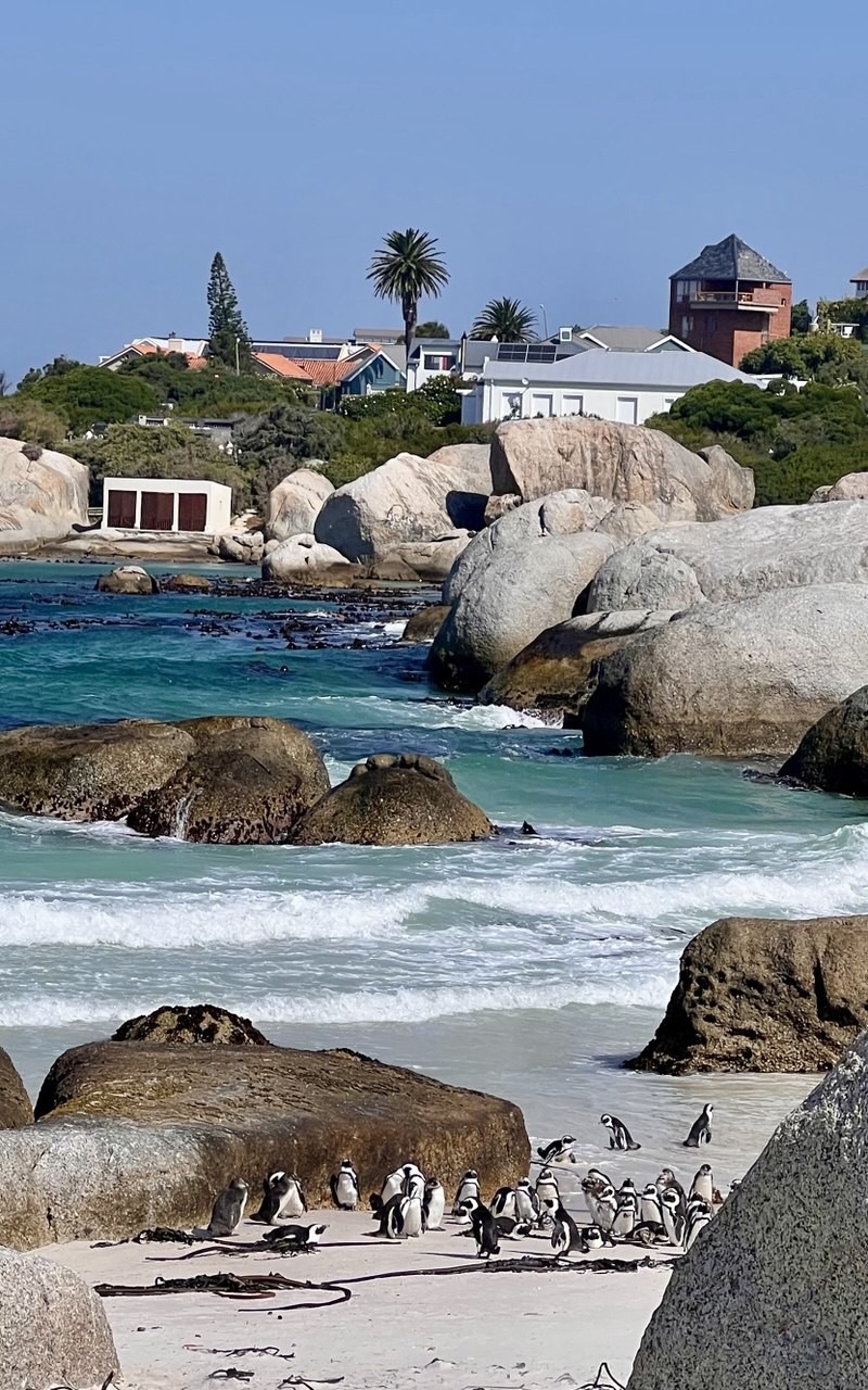 Экскурсию проводил Константин Садченко. Практически 12 часов мы ездили по локациям, и Константин рассказал всю историю