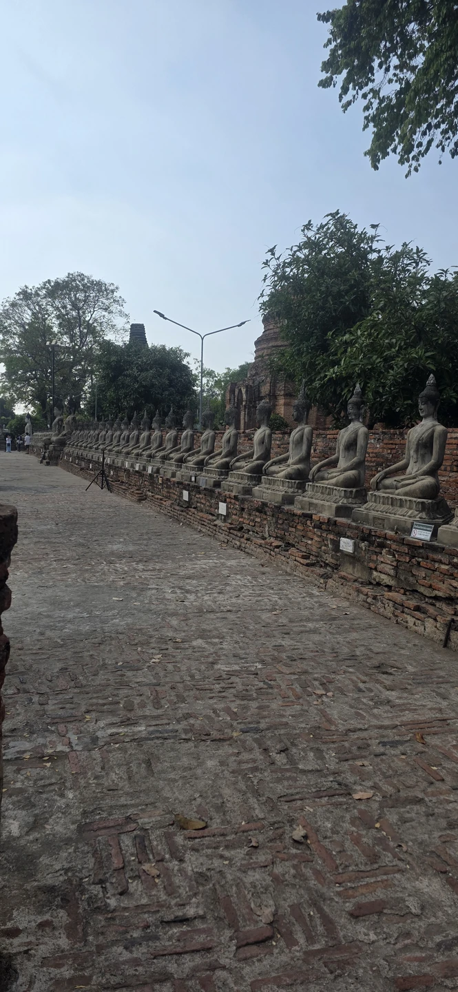 Были на экскурсии в Аюттайю 17 января. Гид Дмитрий. День прошёл замечательно. Отличная организация. Узнали много