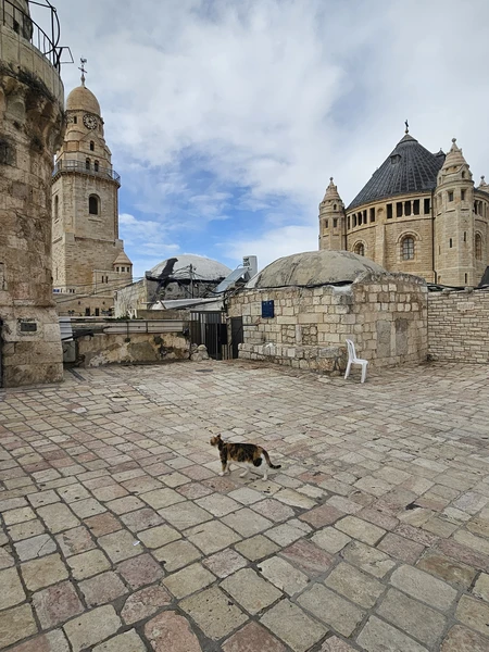 Мы впервые прилетели в Тель-Авив и практически сразу поехали в Иерусалим - увидеть главное