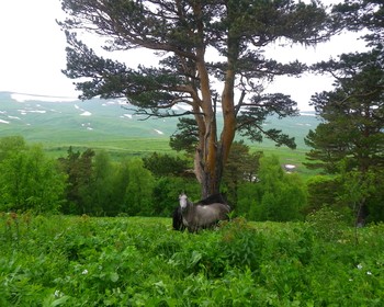 Плато Лаго-Наки и Большая Азишская пещера