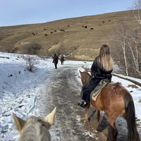 Фото отзыва 3: экскурсия "Групповая конная прогулка и мастер-класс по седланию лошади"