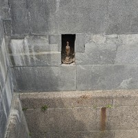 Фото отзыва 2: экскурсия "Добро пожаловать в Петербург!"