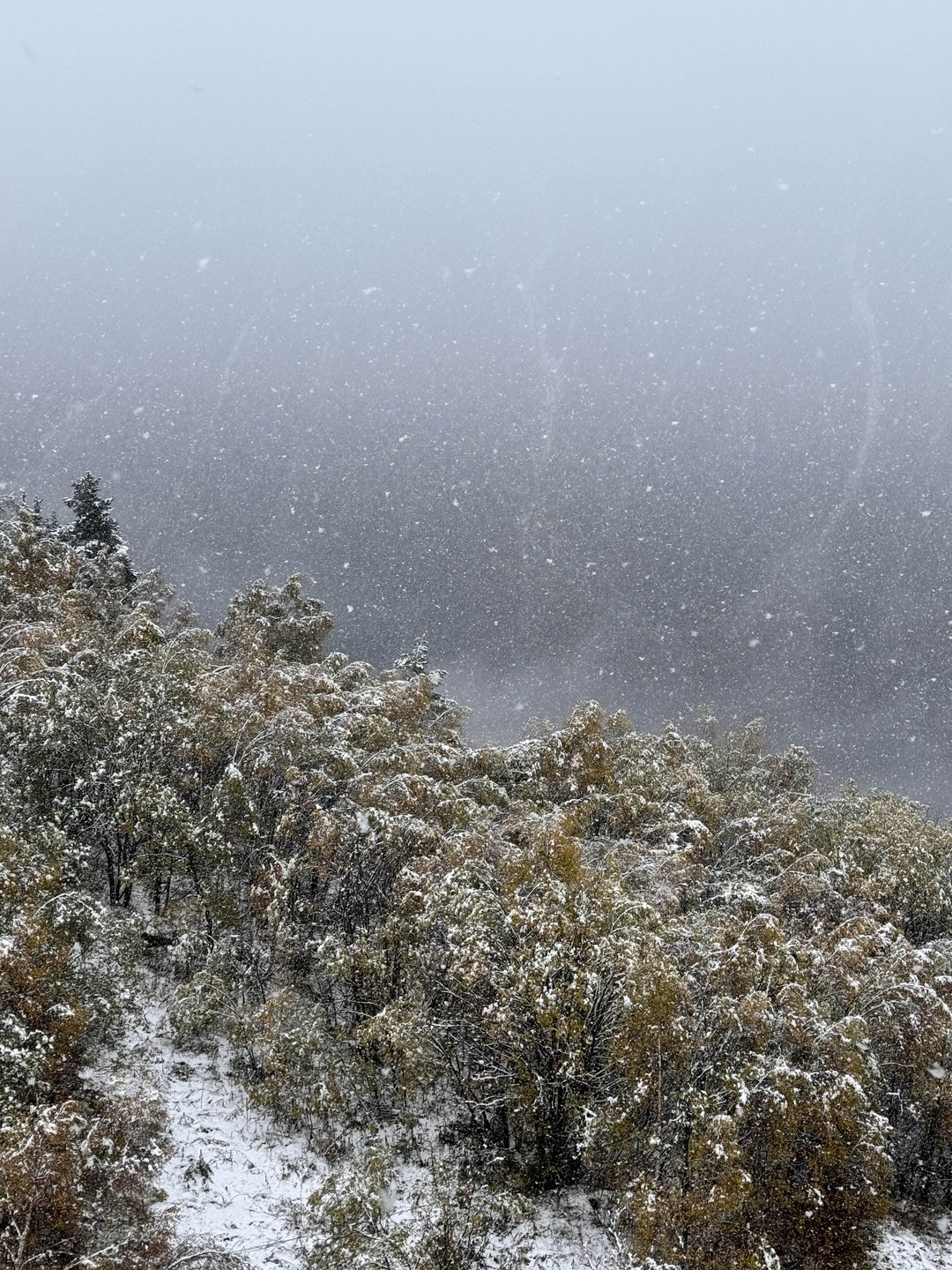 Ездили в Домбай с гидом Павлом на минивэне, все прошло замечательно: застали невероятно красивую осень в