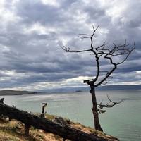 Фото отзыва 2: экскурсия "Ольхон: 3 дня в сердце священного «моря»"