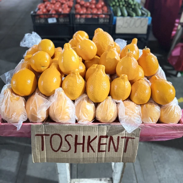 Хорошая организация экскурсии. Отзывчивость на пожелания клиента, забота о комфортном и полезном времяпрепровождении. Спасибо Фарруху за