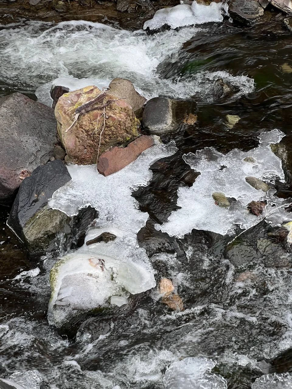 Гид Георгий 13 -- очень доброжелательный и комфортный человек с отличным чувством юмора! В дороге мы