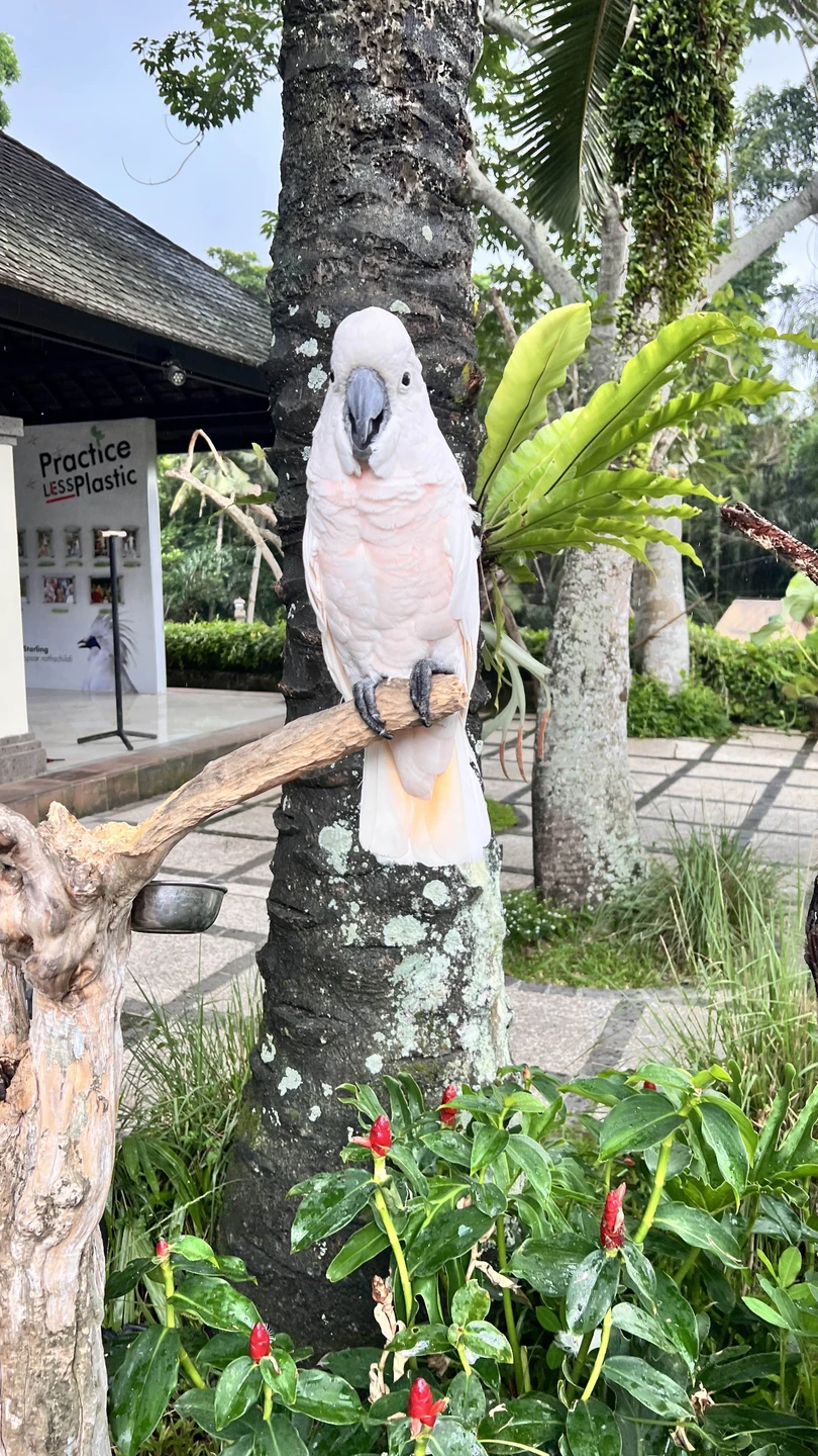 Всё понравилось. Маршрут интересный. Понравилась доброжелательность водителя и то, что нет каких-то гонок в той или