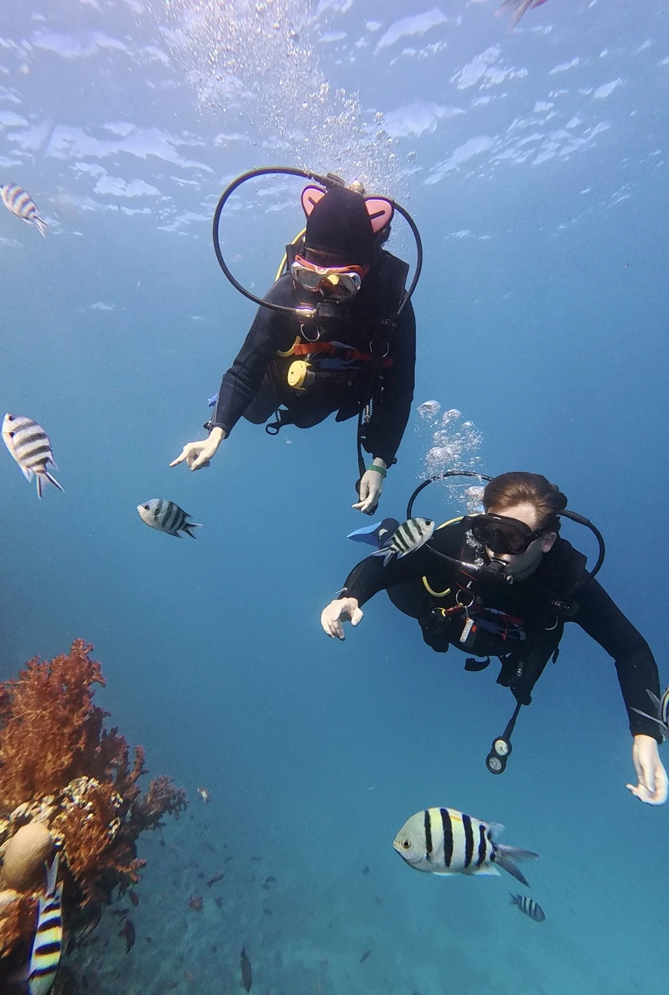 Вадим максимально комфортно познакомил нас с подводным миром и культурой дайвинга. Настолько трепетного подхода со стороны