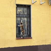reviews img